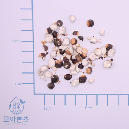 검인