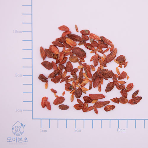 구기자