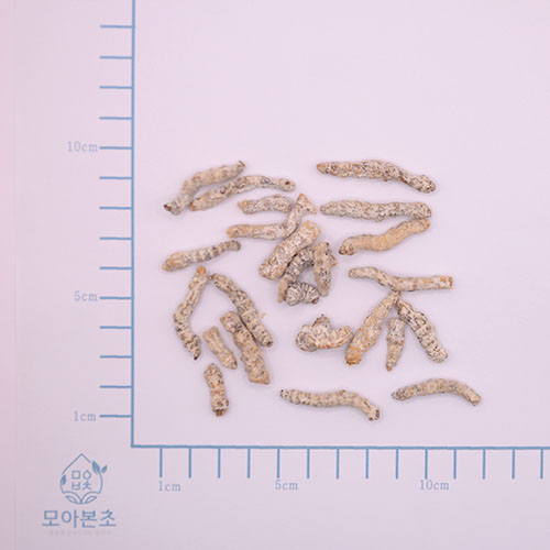 백강잠