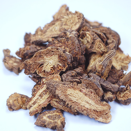 강활 [ 잠강활 ]