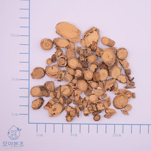 산두근 (광두근)