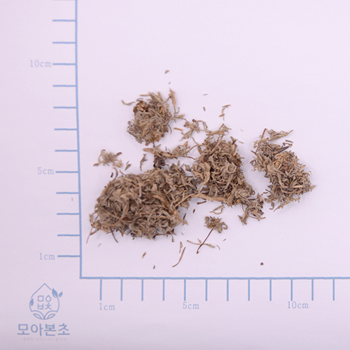 인진호(면인진)