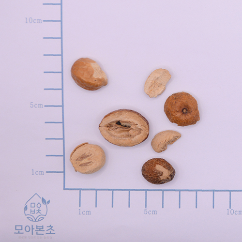 천련자